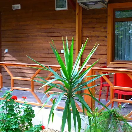 Hébergement de vacances Simge *